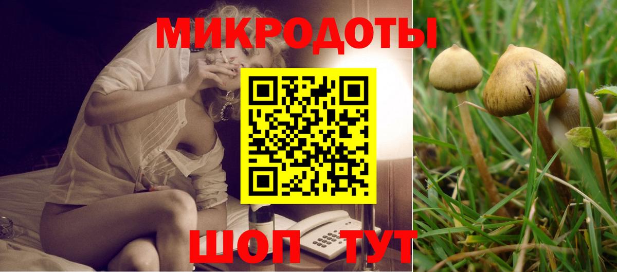 цены   Вход с VPN  Моршанск  Псилоцибиновые грибы Psilocybine cubensis 